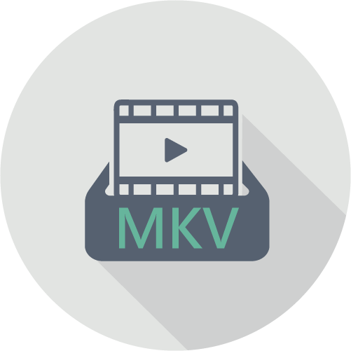 Snap支援錄影格式